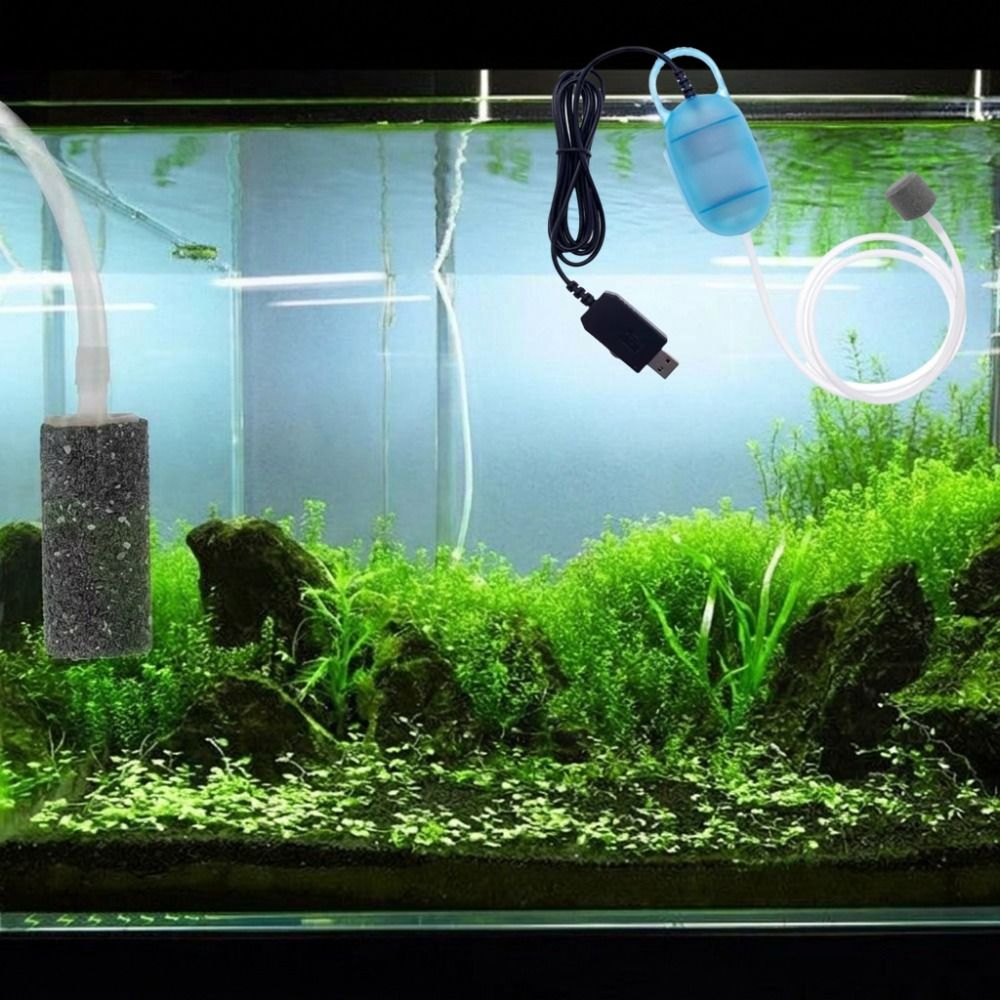Aquarium Mini Fish - Aquarium Supplies Mini Fish Tank Oxygen
