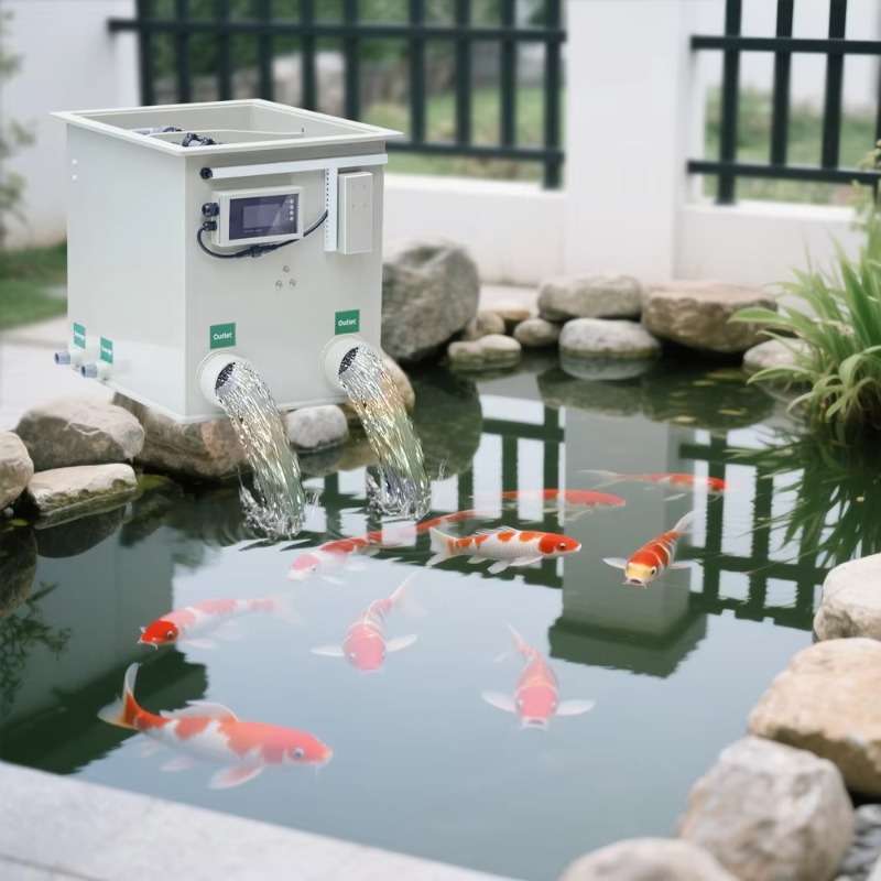 Aquarium Fish Koi - 5300 Gallon Koi Pond Rdf Micro