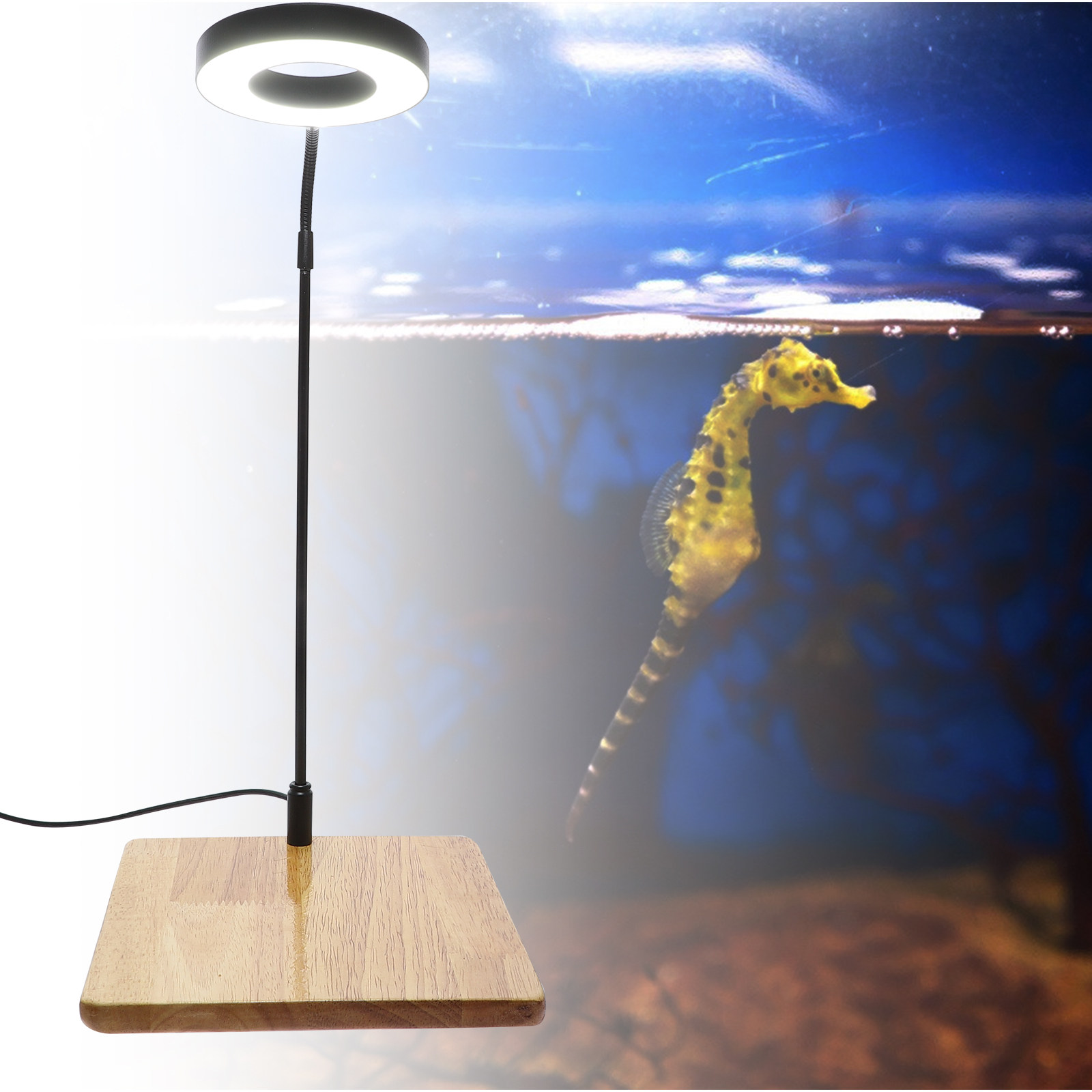 Aquarium Fish Light Lamp - 1Pcs Aquarium Fill Light High Brightness