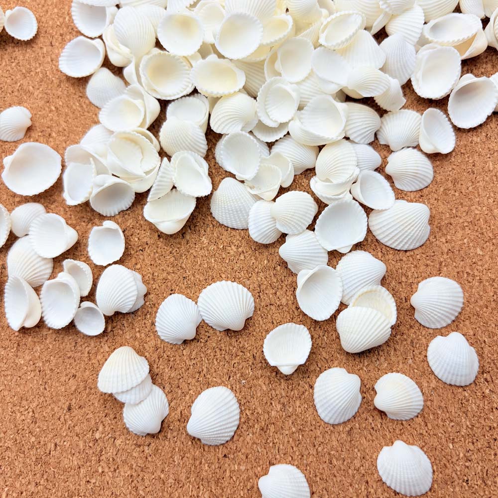 Aquarium Mini Fish - 200pcs about 60g Tiny Sea Shells
