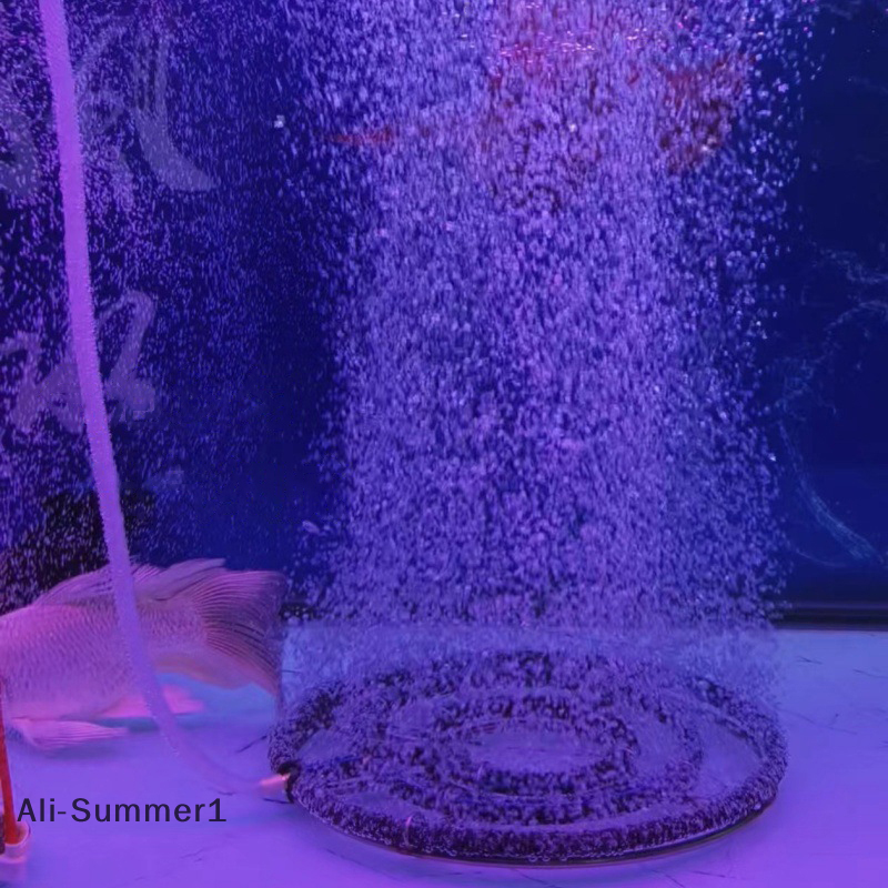 【E】1pcs 304 Stainless Steel Ko - Aquarium Fish Koi review and price