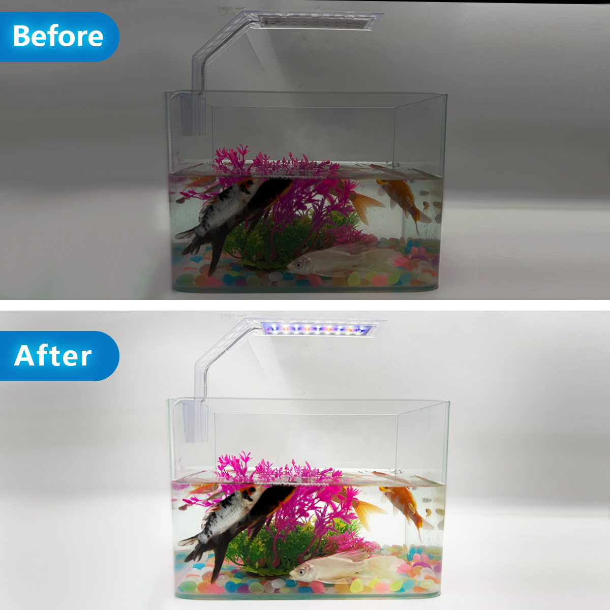 Super Slim LED Aquarium Light  - Aquarium Fish Light Lamp review and price