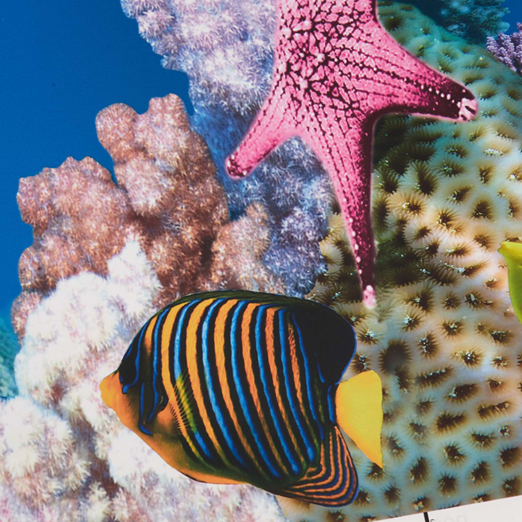 ABWR-Aquarium Background Paper - Aquarium Fish Wallpaper review and price