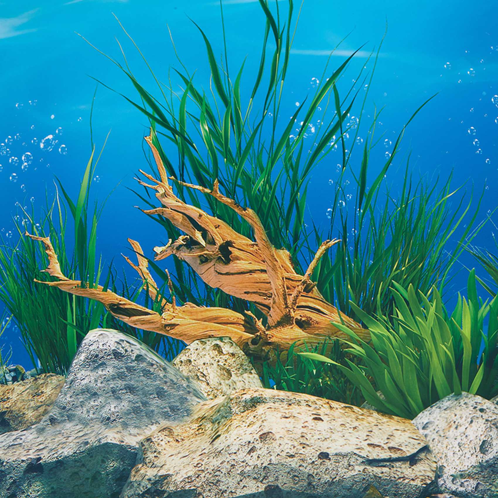 ABWR-Aquarium Background Paper - Aquarium Fish Wallpaper review and price