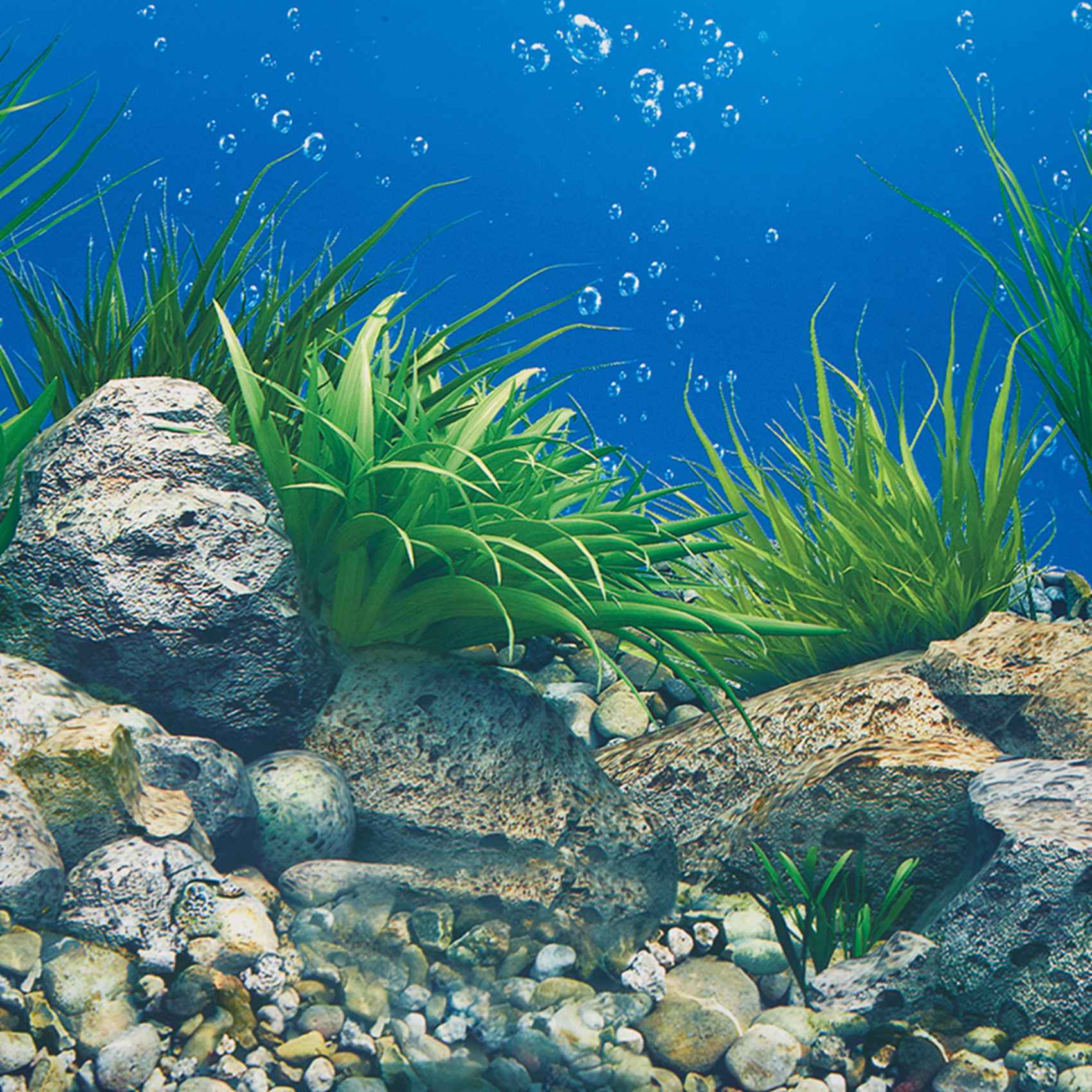 ABWR-Aquarium Background Paper - Aquarium Fish Wallpaper review and price
