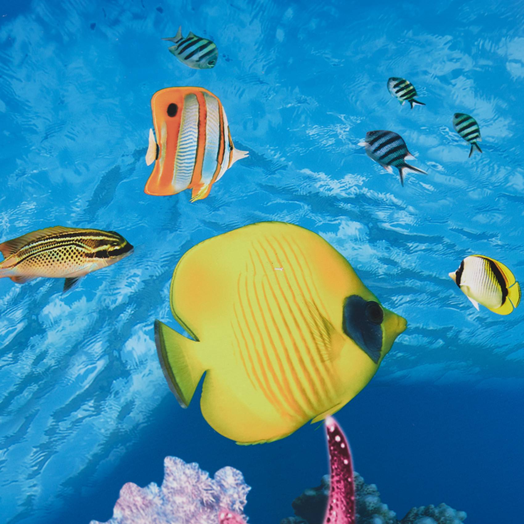 ABWR-Aquarium Background Paper - Aquarium Fish Wallpaper review and price
