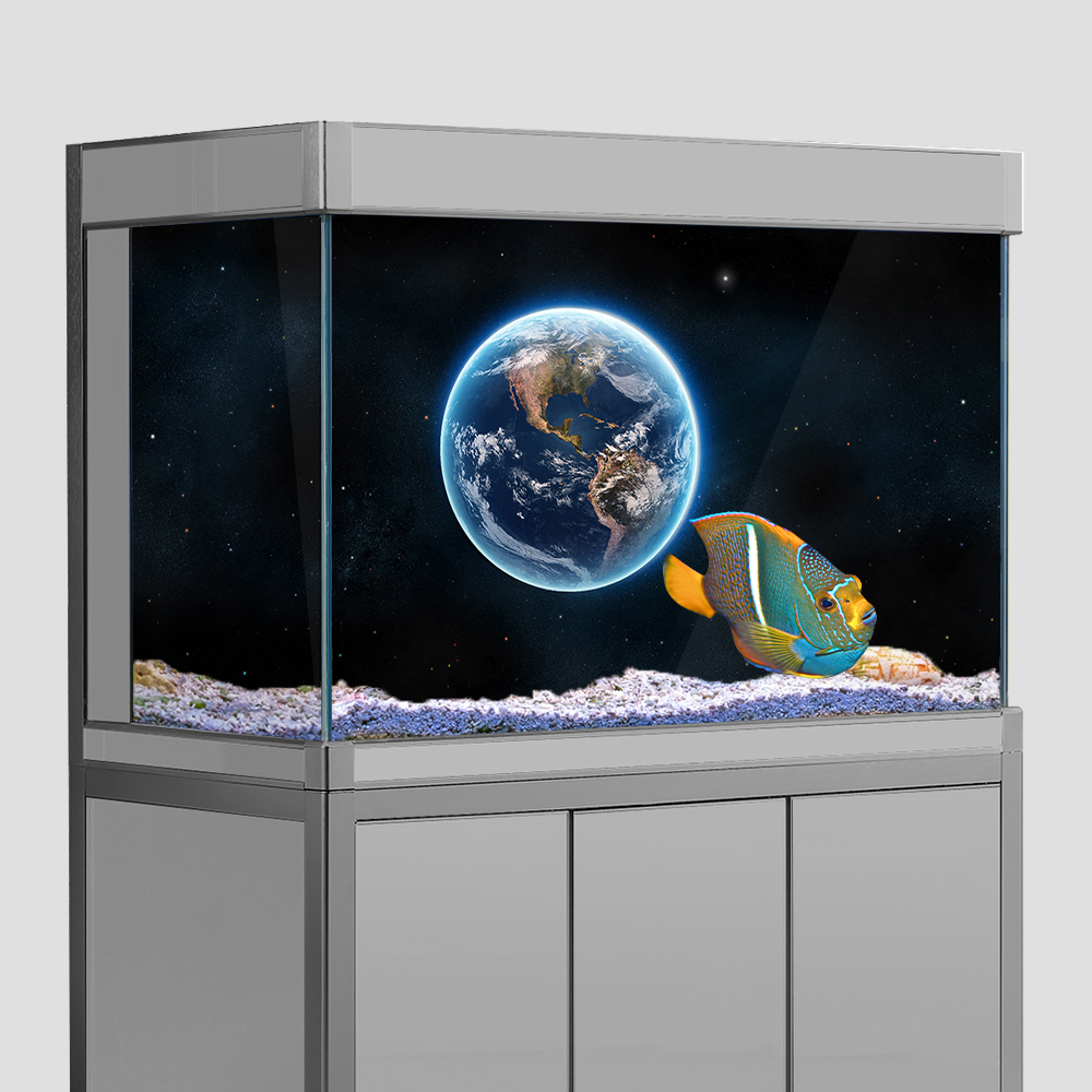 Aquarium Fish Tank  Background - Aquarium Fish Wallpaper review and price