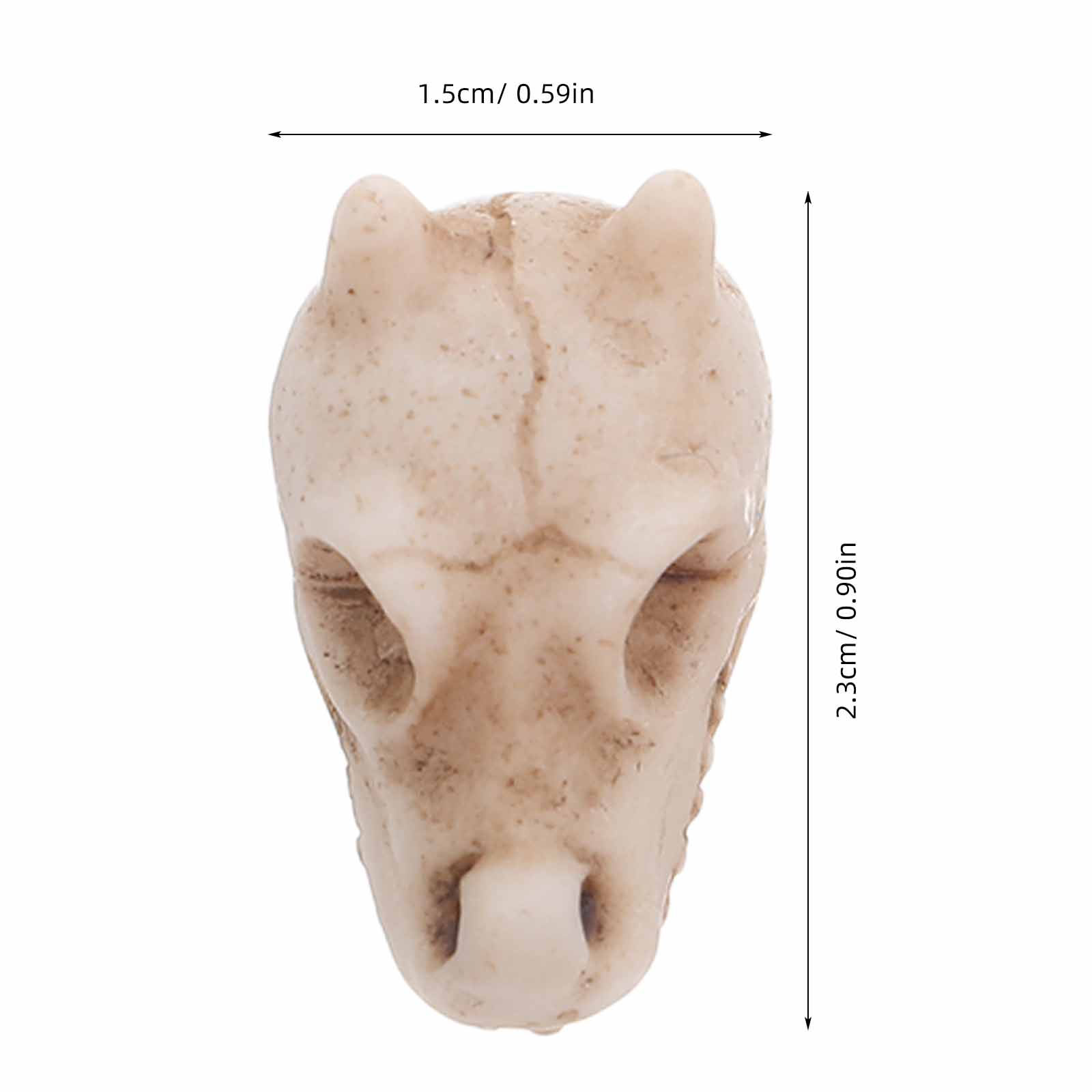 20Pcs Resin Dragon Skull Outdo - Aquarium Mini Fish review and price