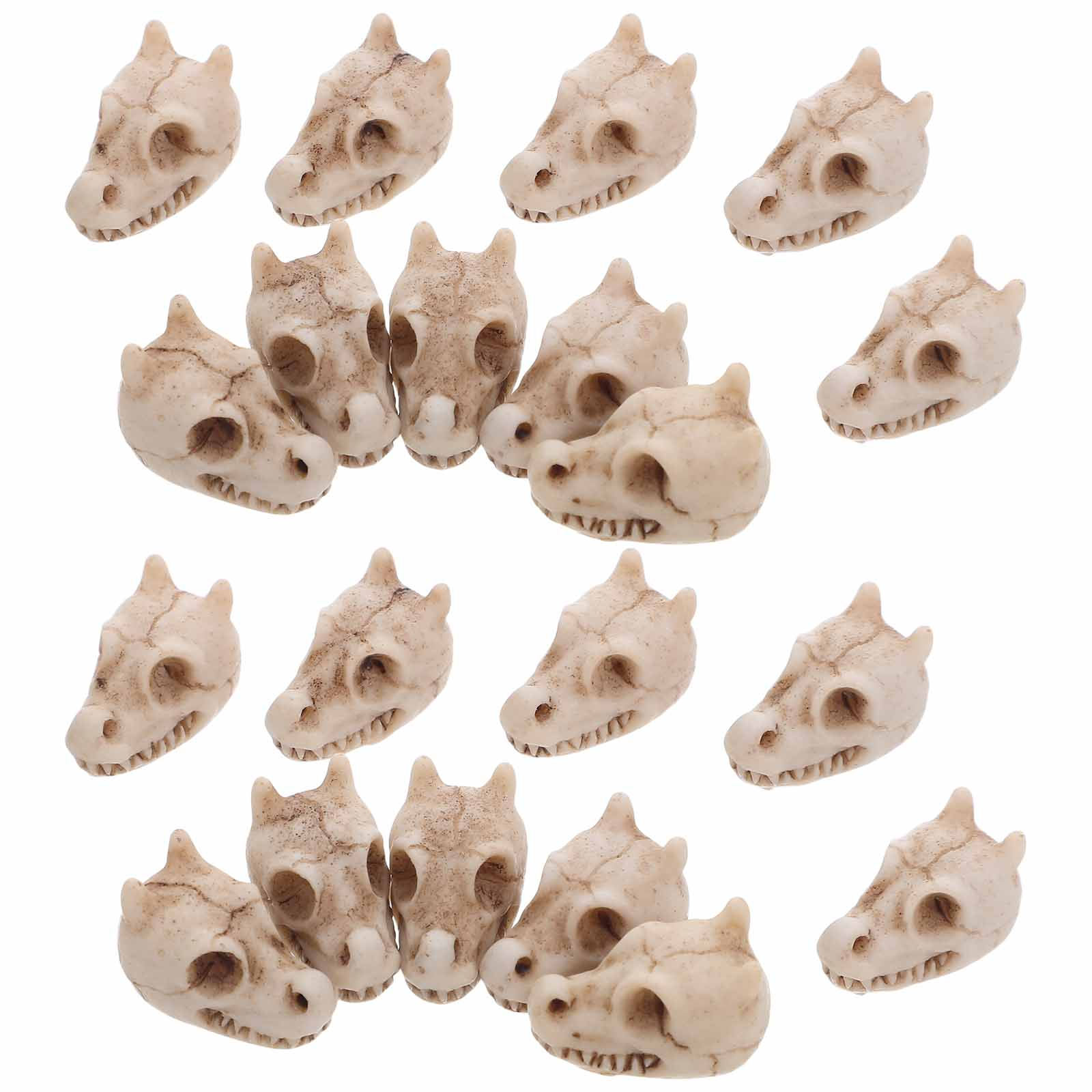 20Pcs Resin Dragon Skull Outdo - Aquarium Mini Fish review and price
