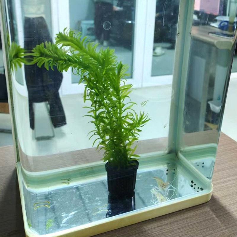 4Pcs Pet Fish Tank Landscaping - Aquarium Fish In review and price
