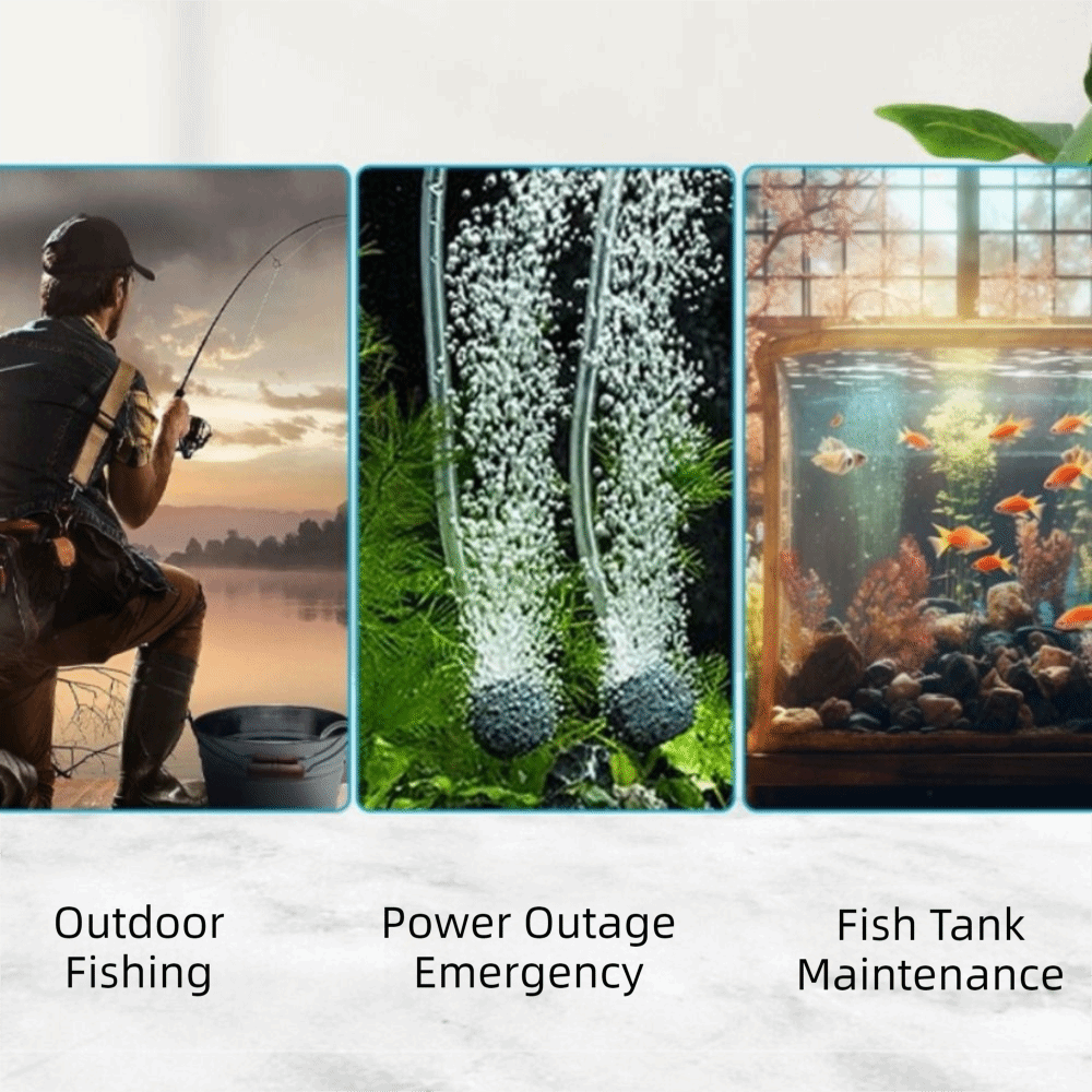 Aquarium Supplies Mini Fish Ta - Aquarium Mini Fish review and price
