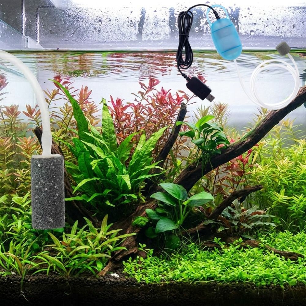 Aquarium Supplies Mini Fish Ta - Aquarium Mini Fish review and price