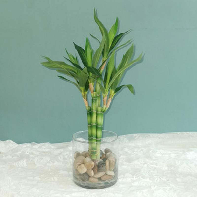 New 40cm rFtificial Lucky Bamb - Aquarium Fish Land review and price