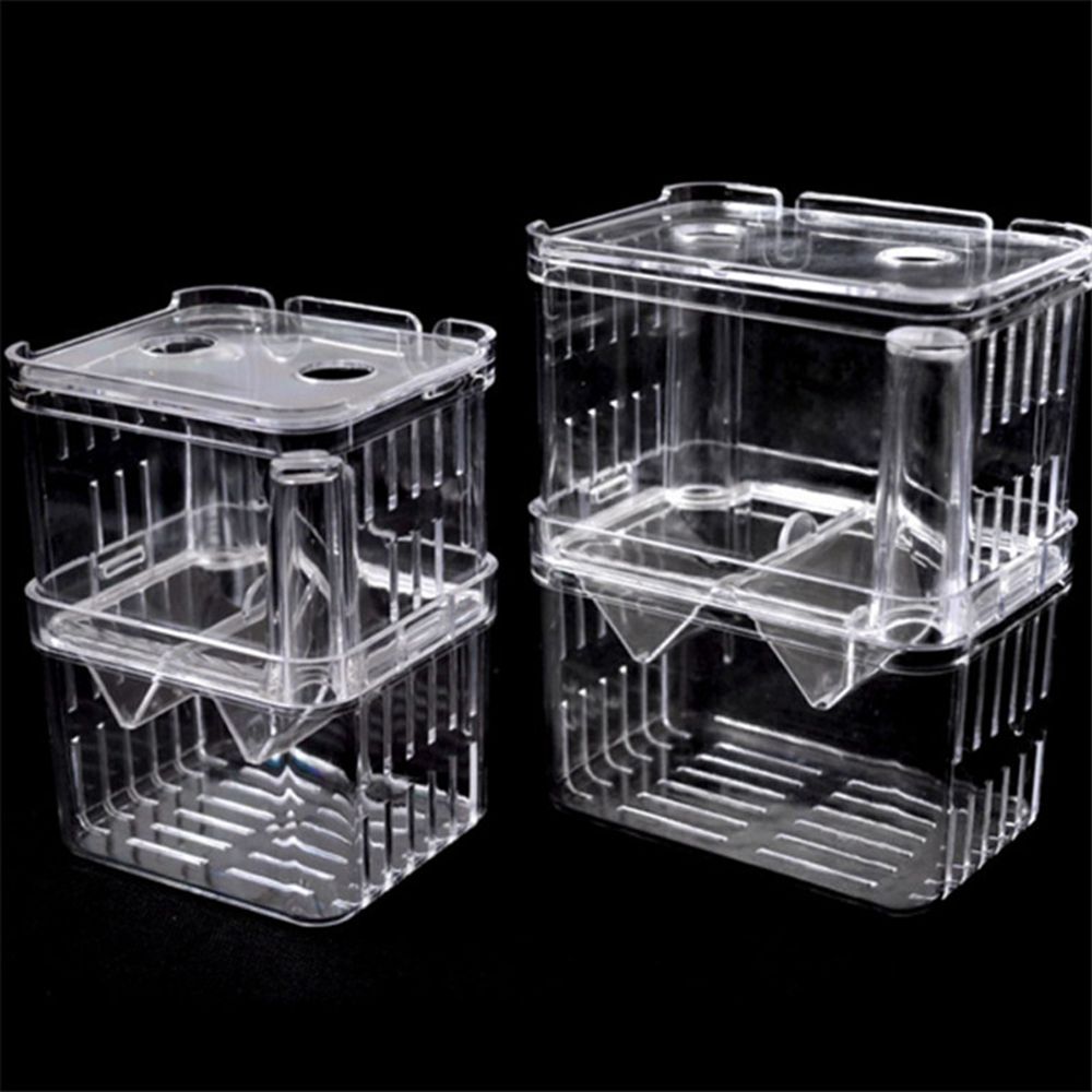 Tank For Baby Fishes Guppy Aqu - Aquarium Fish Reproduction review and price