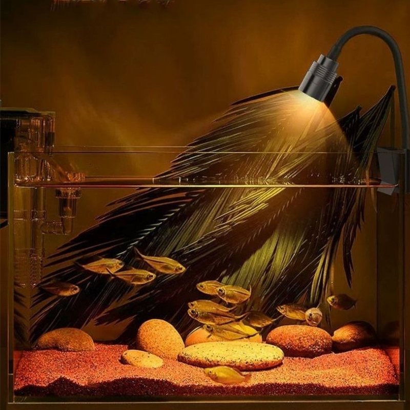 3W South American Aquarium Spo - Aquarium Fish Light Lamp review and price