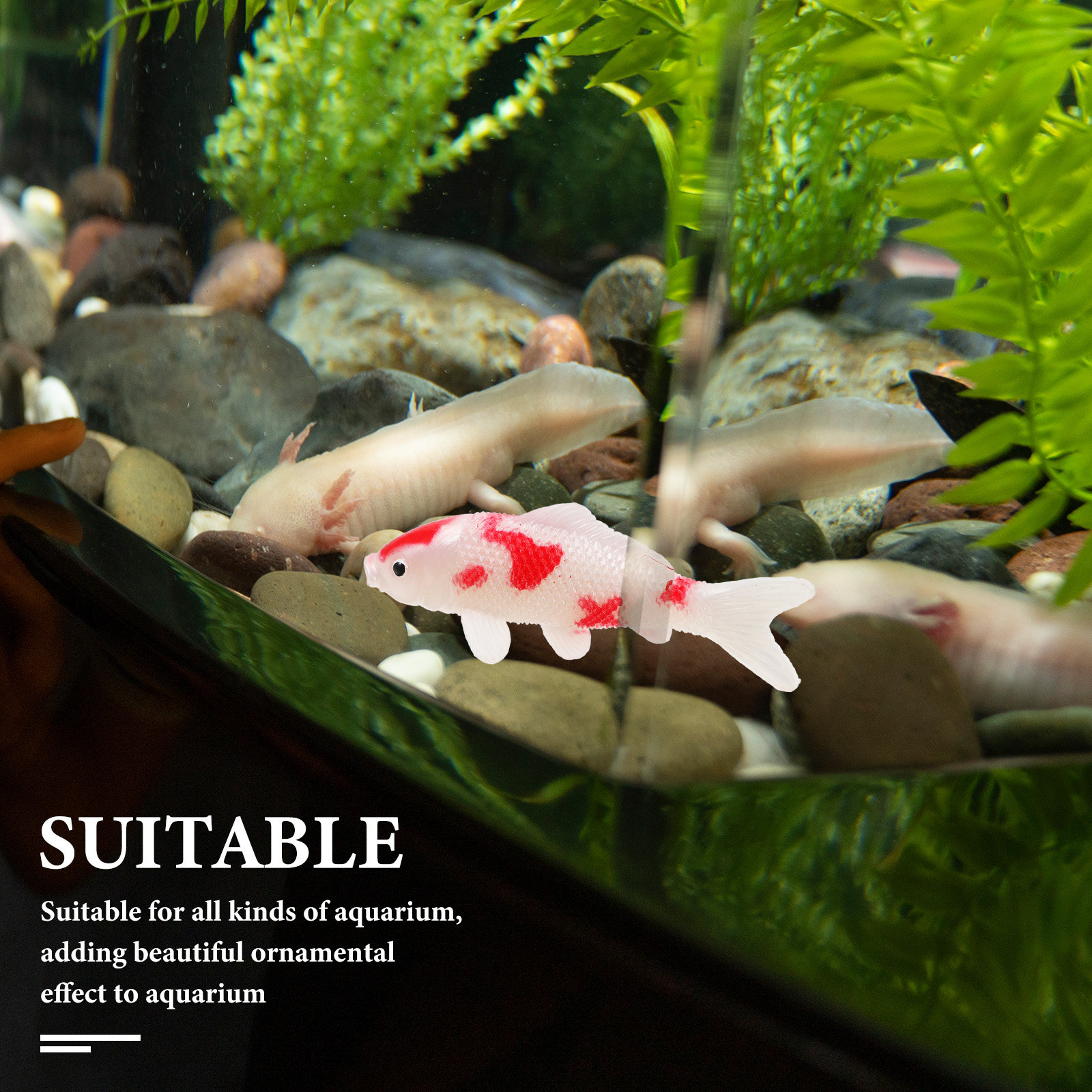 Floating Mini Koi Realistic Ar - Aquarium Fish Koi review and price