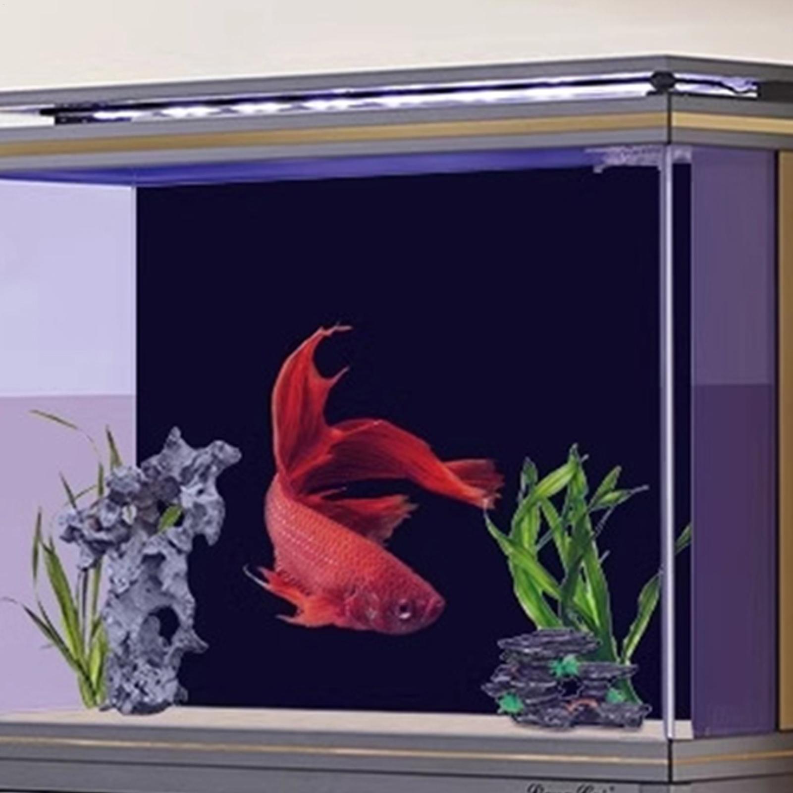 Aquarium Sticky Background Sti - Aquarium Fish Wallpaper review and price