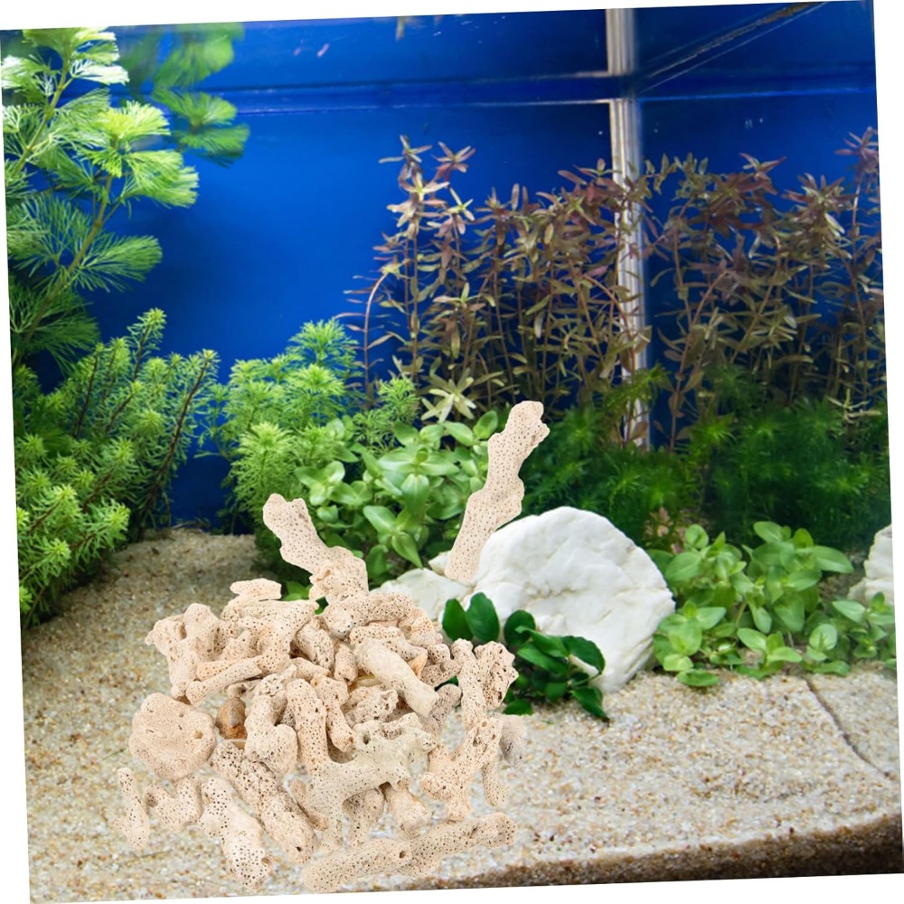Crushed Coral Filter for Fresh - Aquarium Fish In review and price
