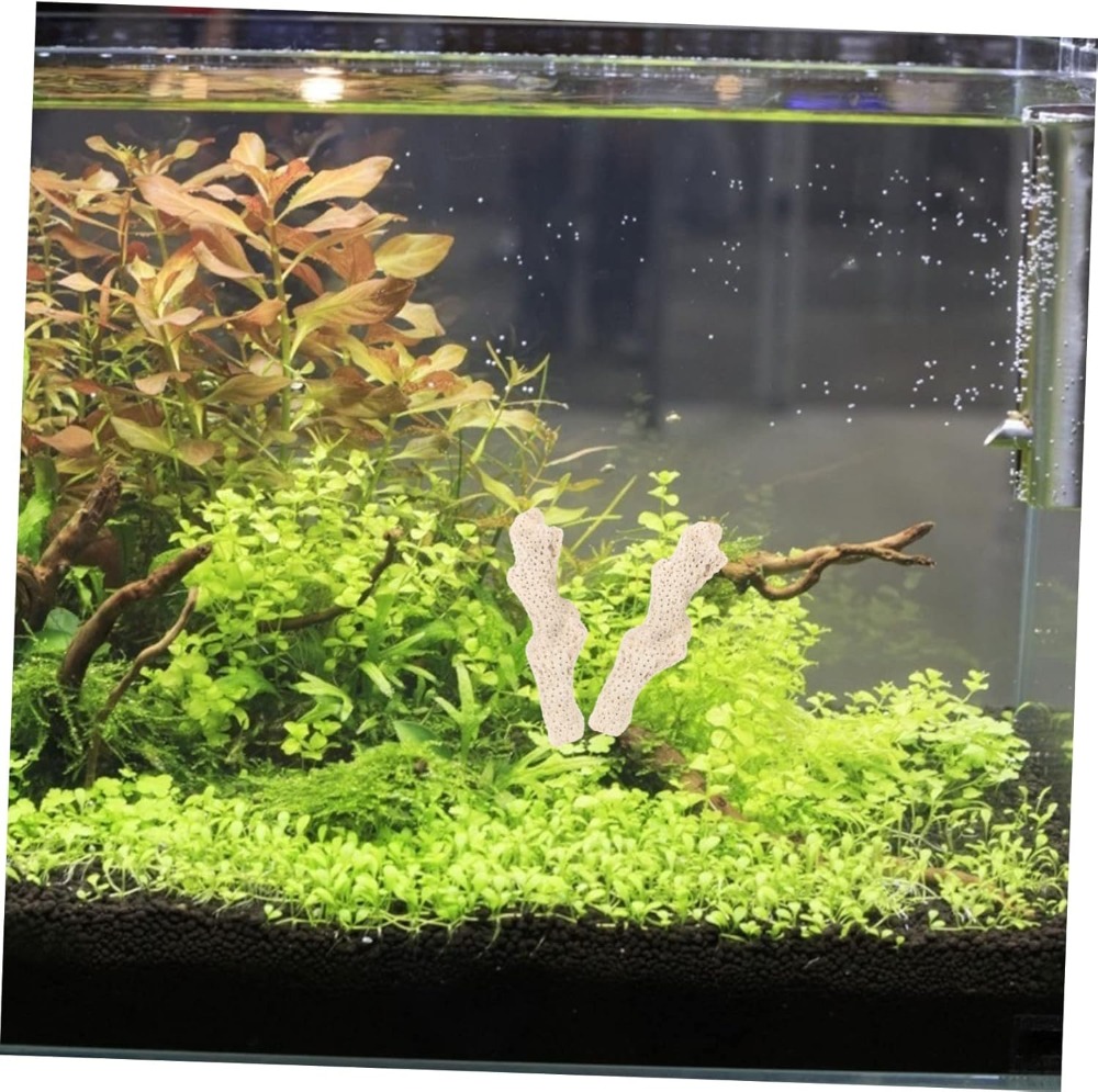 Crushed Coral Filter for Fresh - Aquarium Fish In review and price