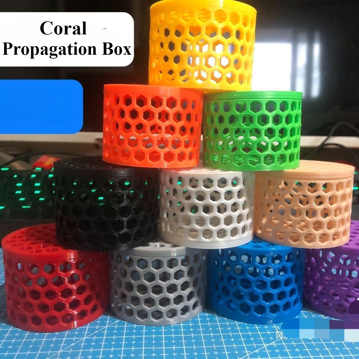 Fluorescent SPS LPS Coral Moun - Aquarium Fish Reproduction review and price
