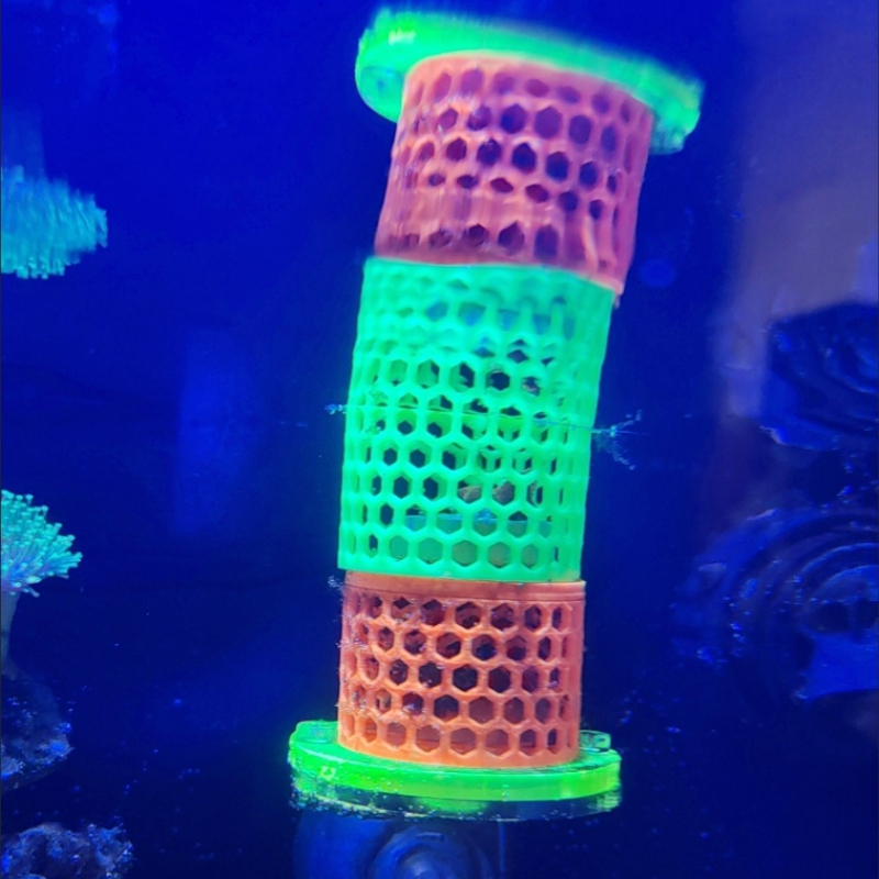 Fluorescent SPS LPS Coral Moun - Aquarium Fish Reproduction review and price