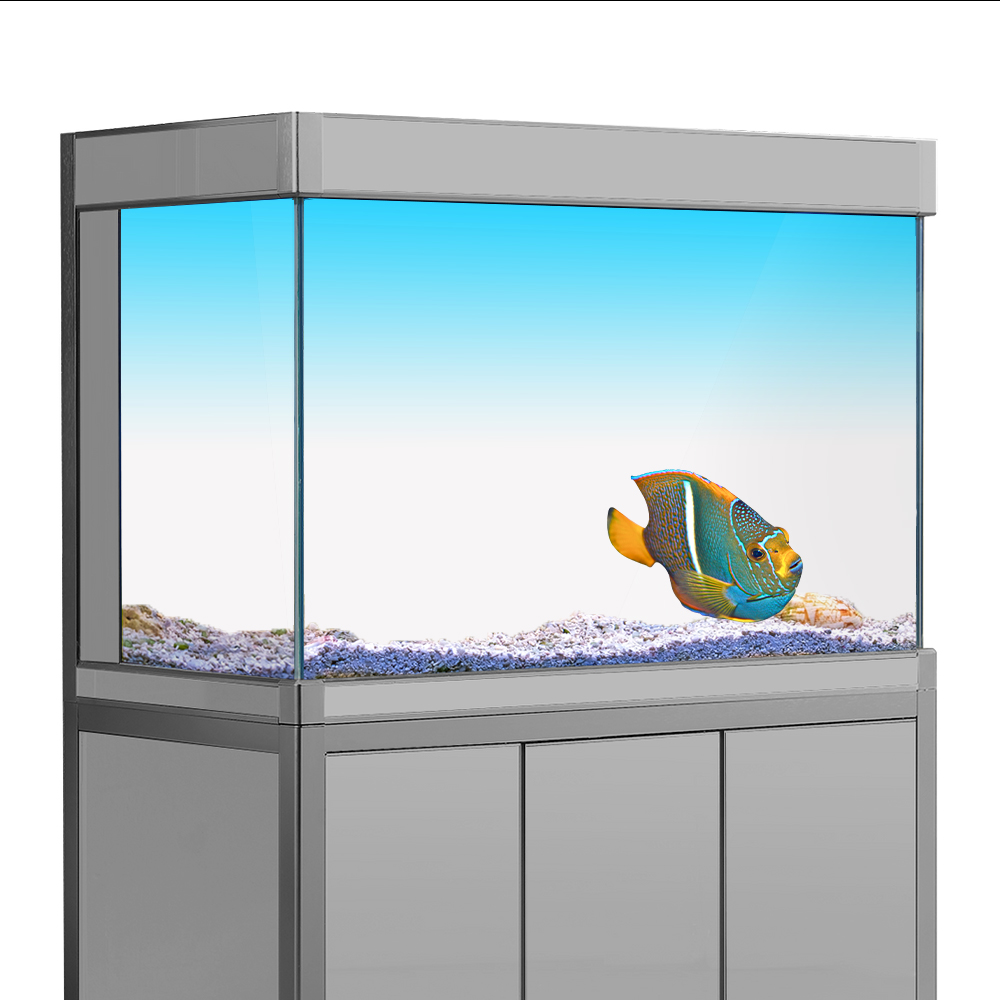 Fish Tank Background Sticker W - Aquarium Fish Wallpaper review and price