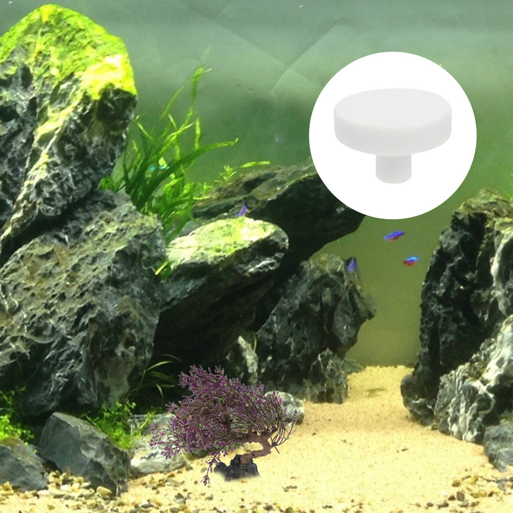 20Pcs Fish Tank Coral Base T S - Aquarium Fish Reproduction review and price
