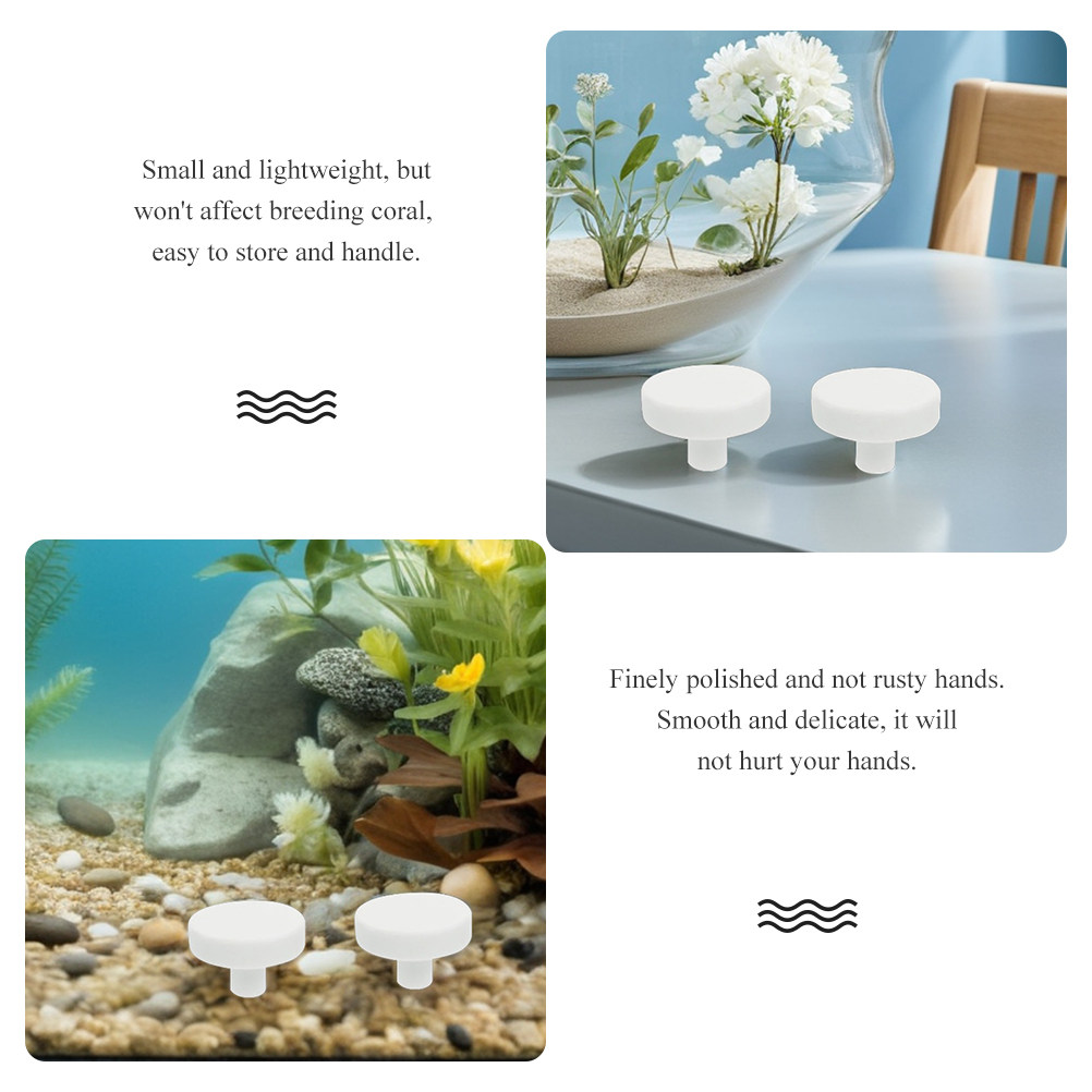 20Pcs Fish Tank Coral Base T S - Aquarium Fish Reproduction review and price