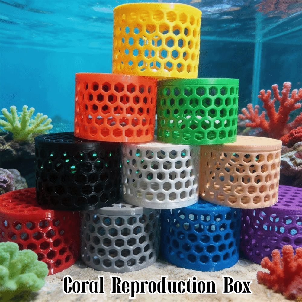 3D Printing Coral Reproduction - Aquarium Fish Reproduction review and price