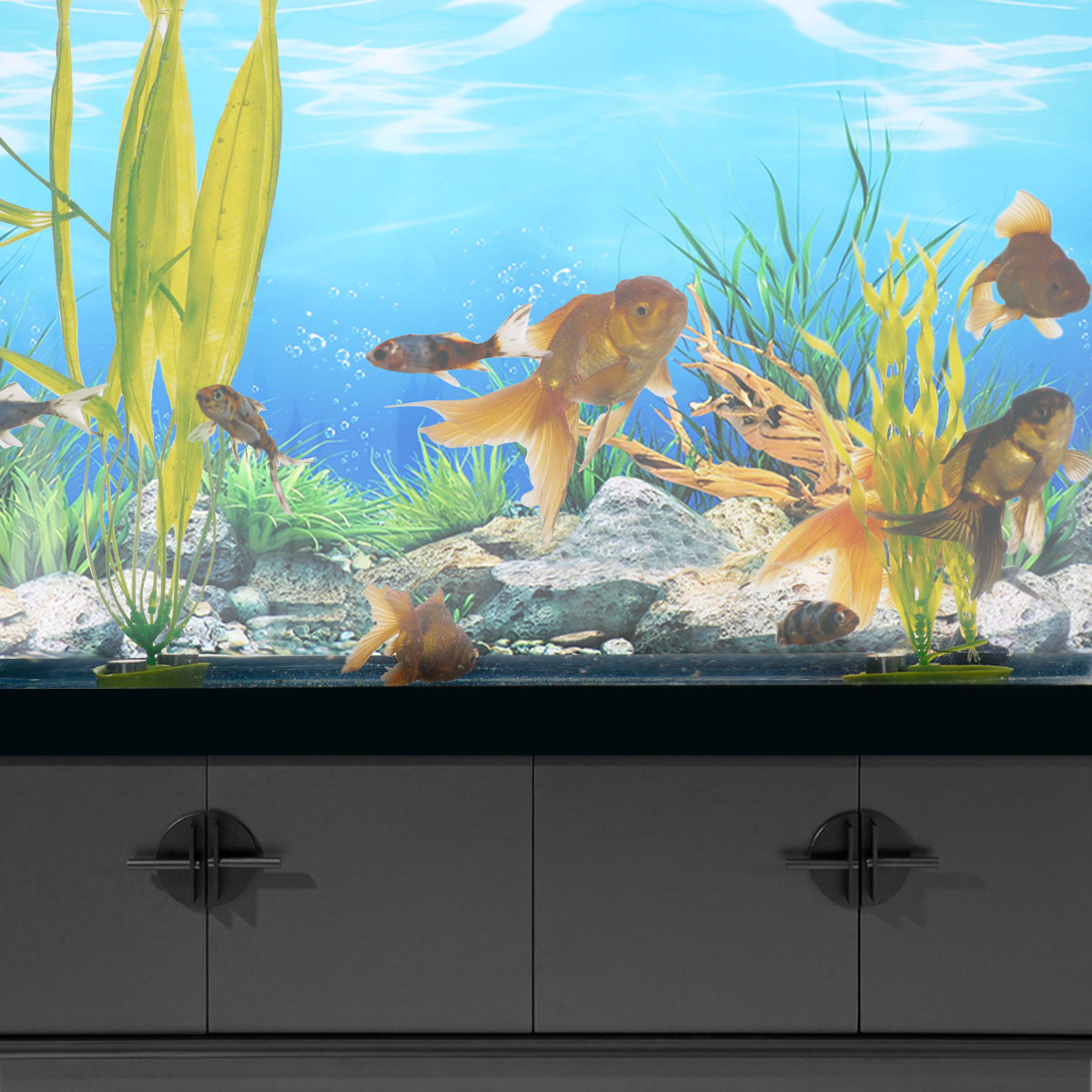 Fish Tank Background Sticker D - Aquarium Fish Wallpaper review and price
