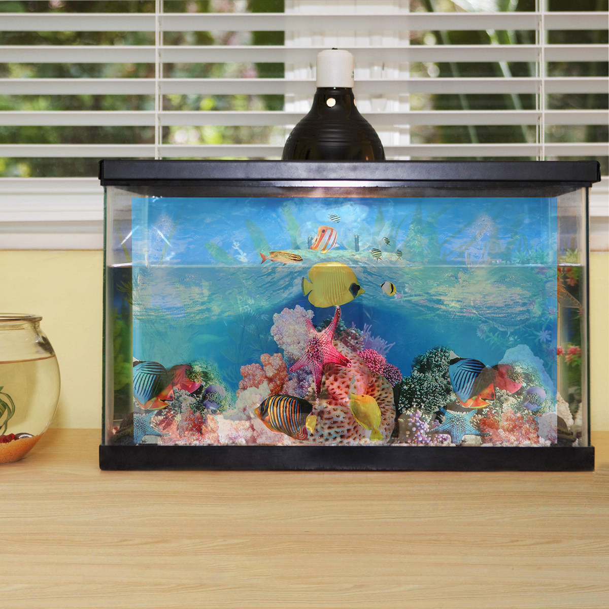 Fish Tank Background Sticker D - Aquarium Fish Wallpaper review and price