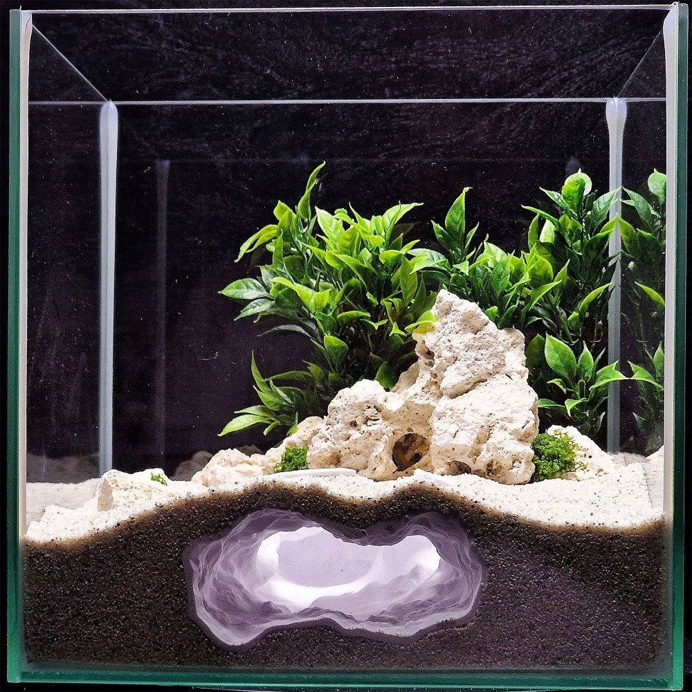 Highly Simulated Aquarium Fish - Aquarium Fish Reproduction review and price