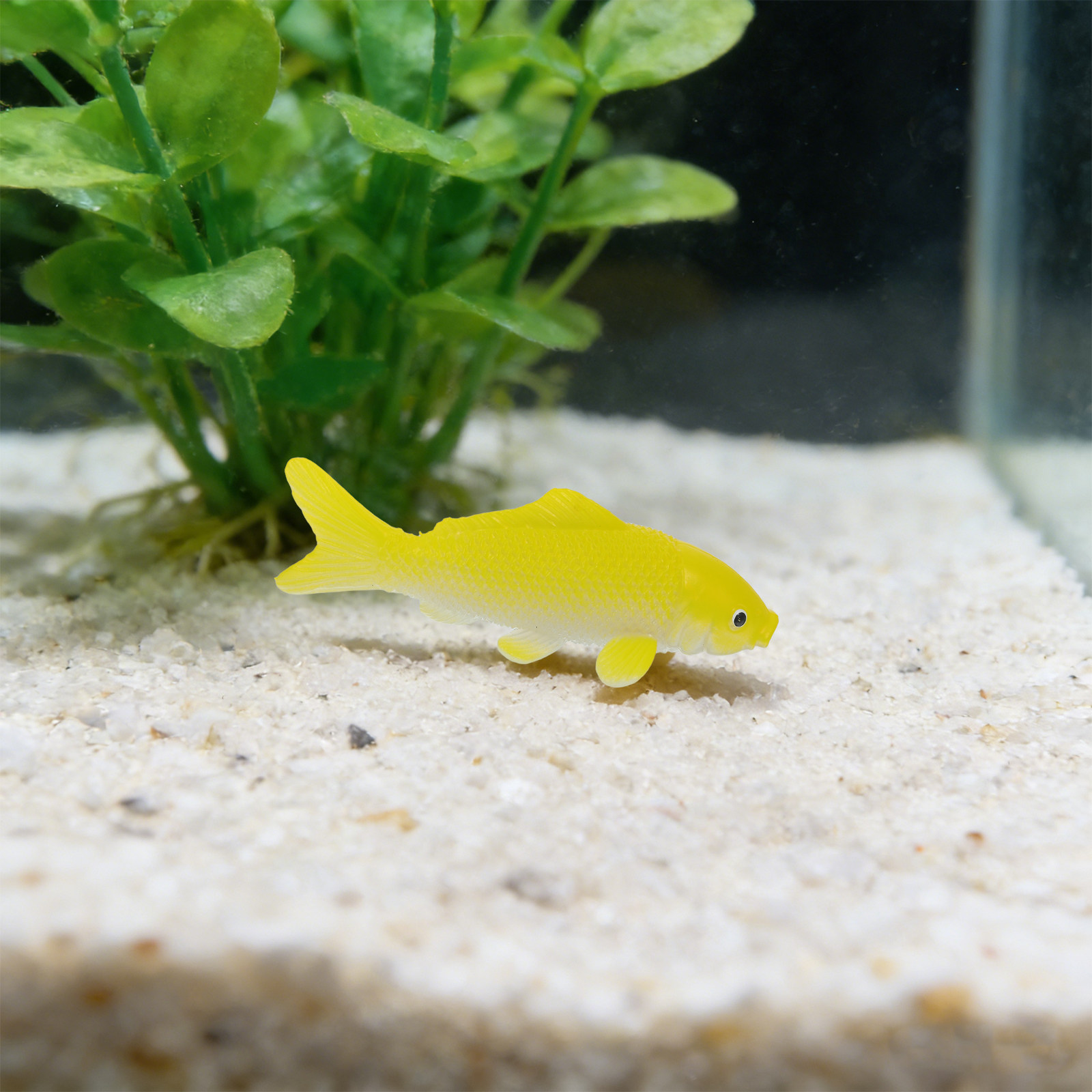 3pcs Fish Crafts Toys Realisti - Aquarium Mini Fish review and price