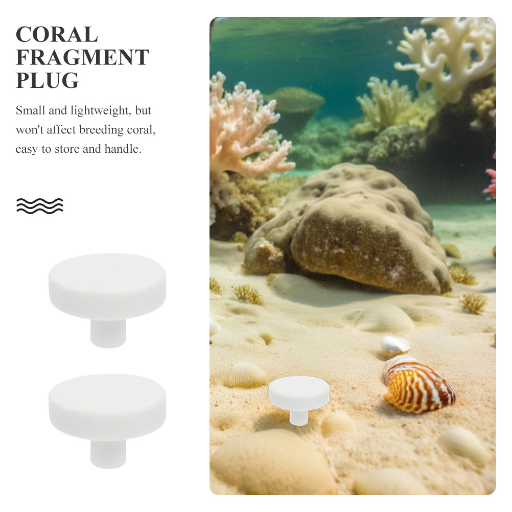 20 Pcs White Coral Reproductio - Aquarium Fish Reproduction review and price