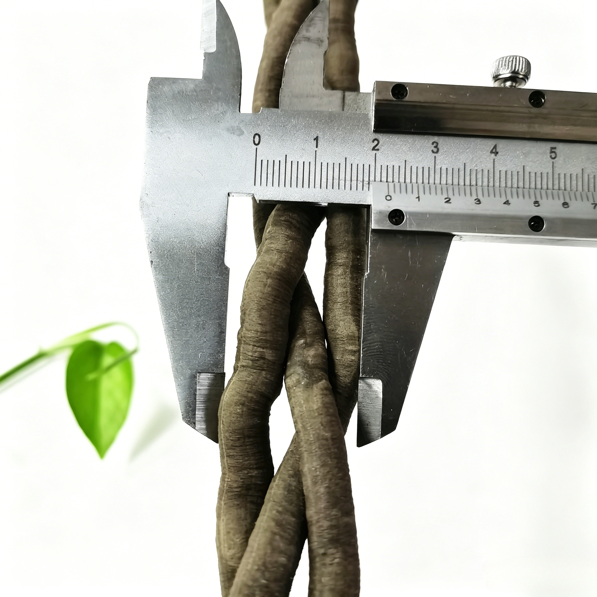 100cm Artificial Vine Fake Pla - Aquarium Fish Land review and price