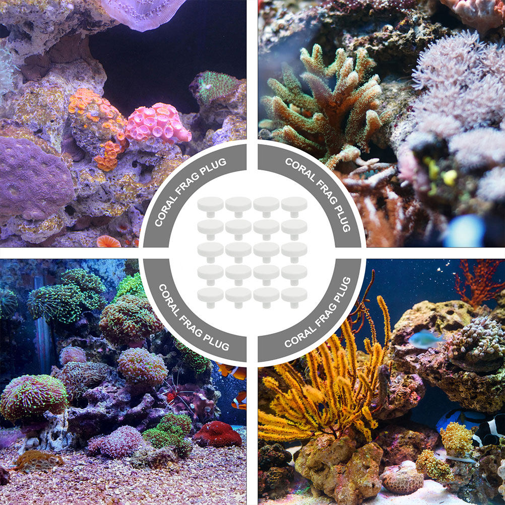 50Pcs Fish Tank Coral Base Cer - Aquarium Fish Reproduction review and price