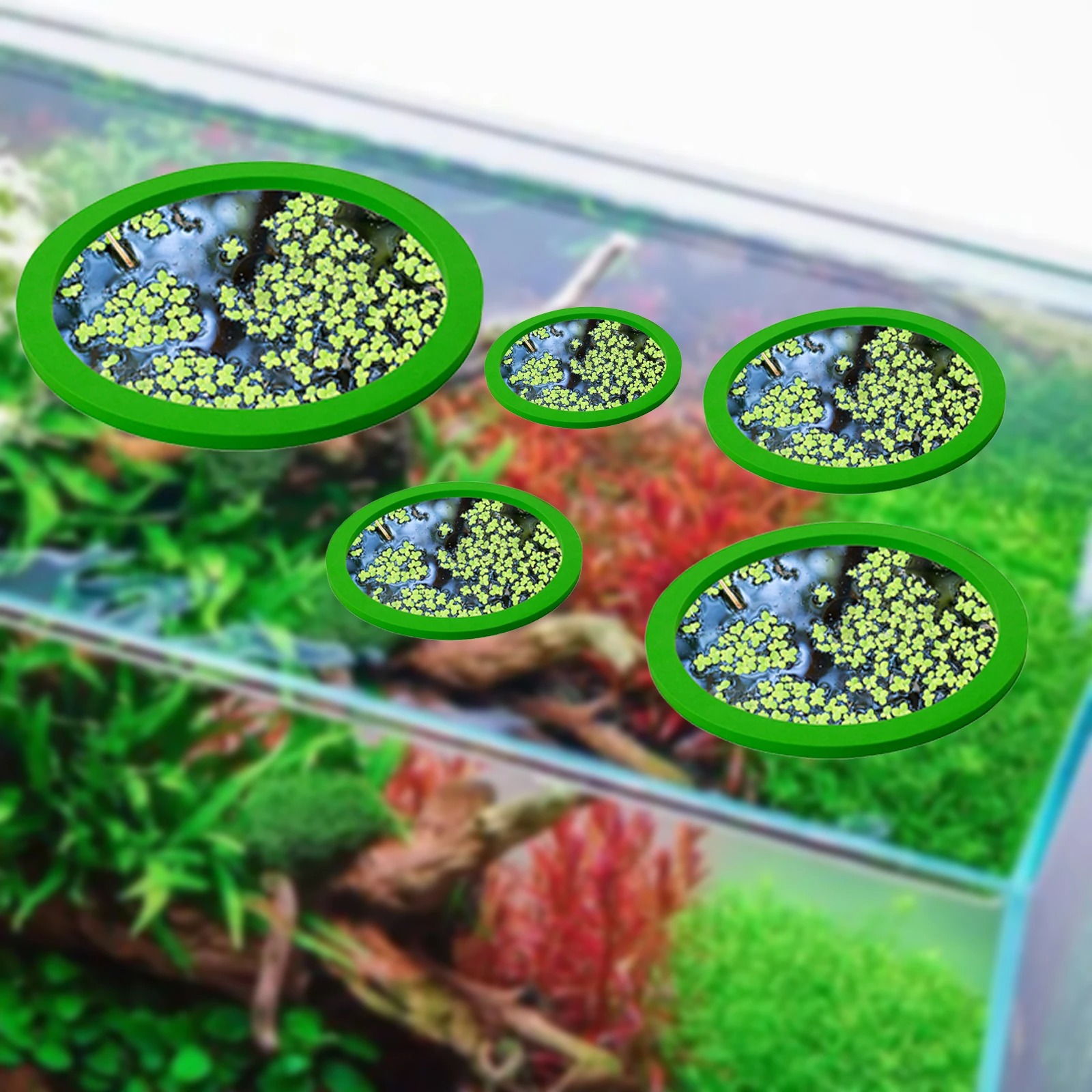 5Pcs EVA Fish Feeding Ring Aqu - Aquarium Fish Land review and price