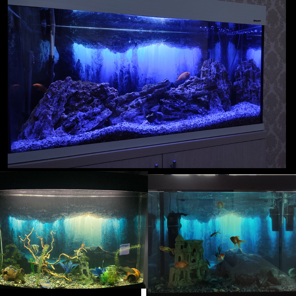 Aquarium Background Sticker,   - Aquarium Fish Wallpaper review and price