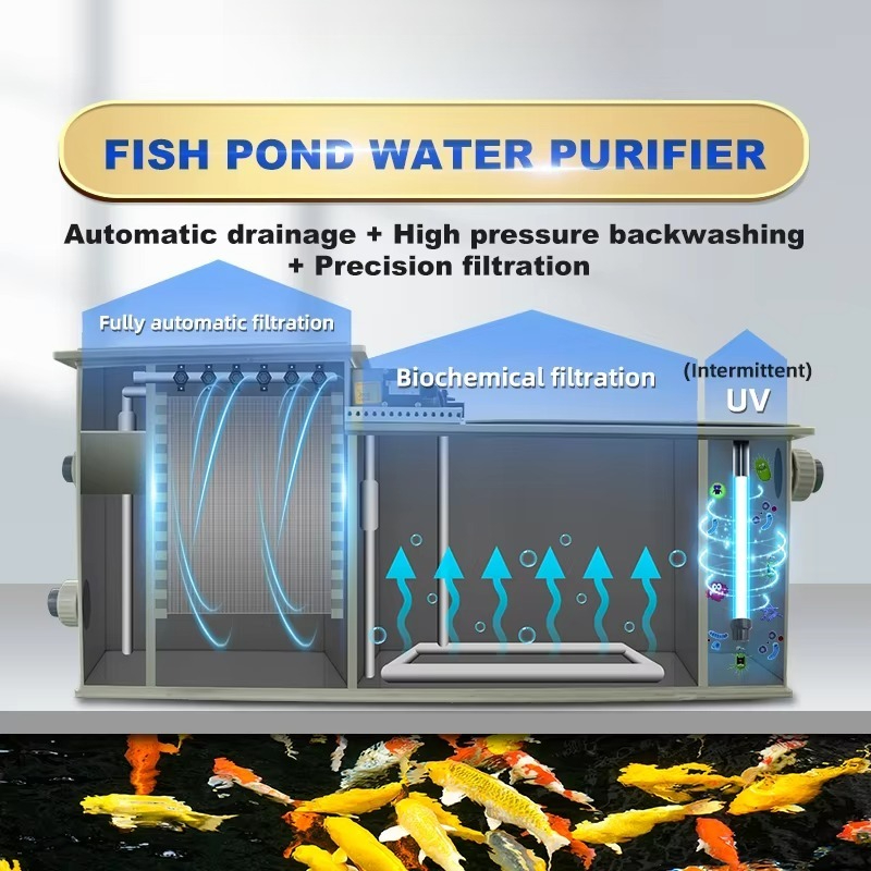 Household  Koi Carp Pond Filte - Aquarium Fish Koi review and price