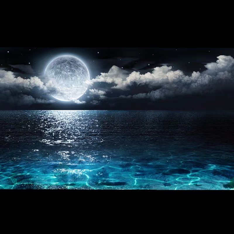 High Definition 3D Fish Tank B - Aquarium Fish Wallpaper review and price