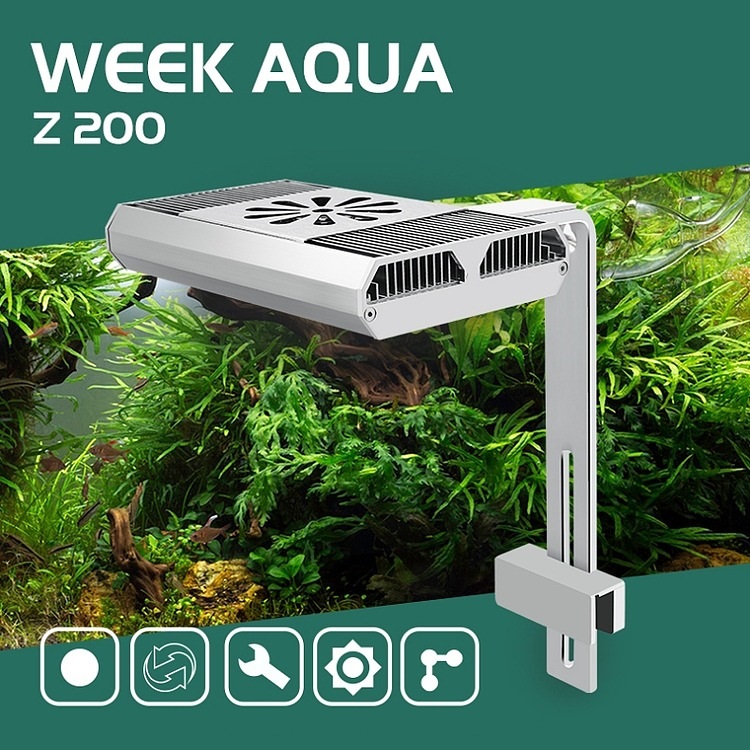 Full Spectrum Fish Tank Light  - Aquarium Fish In review and price