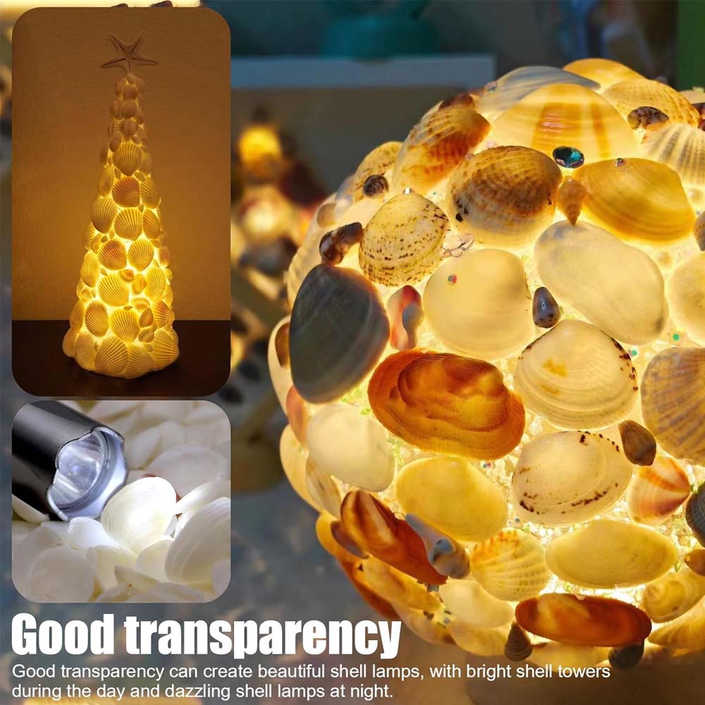 200pcs about 60g Tiny Sea Shel - Aquarium Mini Fish review and price