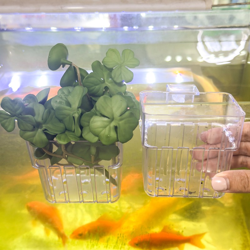 1/5pcs Aquarium Decoration Pla - Aquarium Fish Land review and price