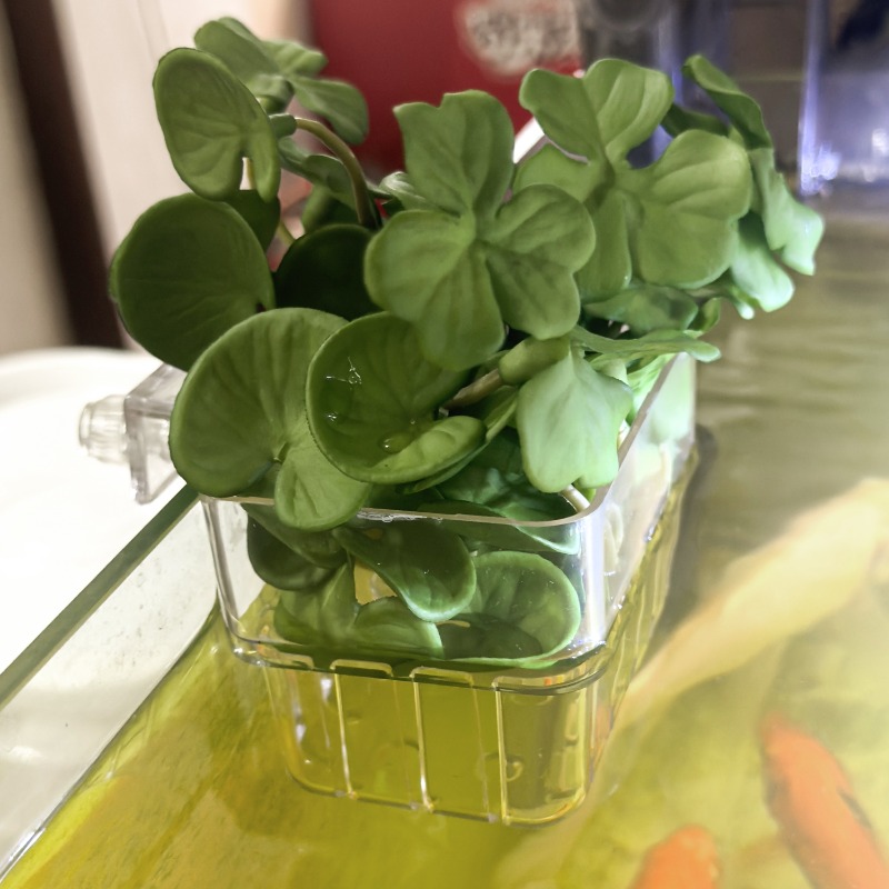 1/5pcs Aquarium Decoration Pla - Aquarium Fish Land review and price