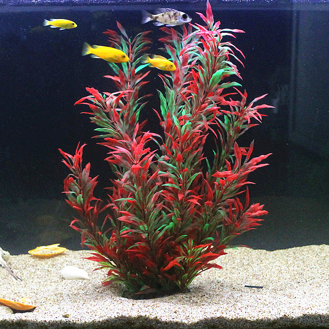 50CM Artificial Fish Tank Rare - Aquarium Fish Land review and price