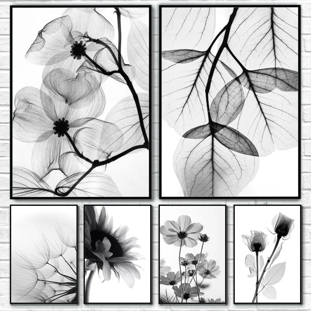 Monochrome Garden Blooms Silen - Live Plant Fertilizer review and price