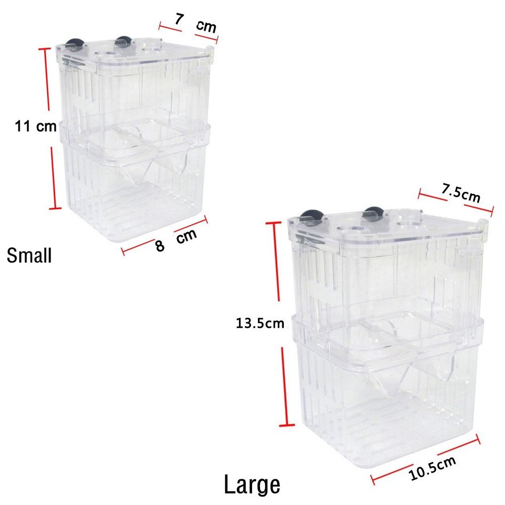 Multifunctional Aquarium Fish  - Aquarium Fish Reproduction review and price