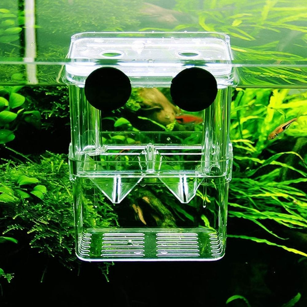 Multifunctional Aquarium Fish  - Aquarium Fish Reproduction review and price