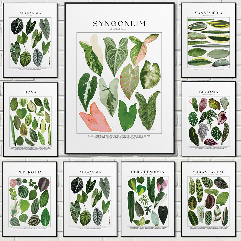 Classic Minimalist Plant Art T - Live Plant Fertilizer review and price