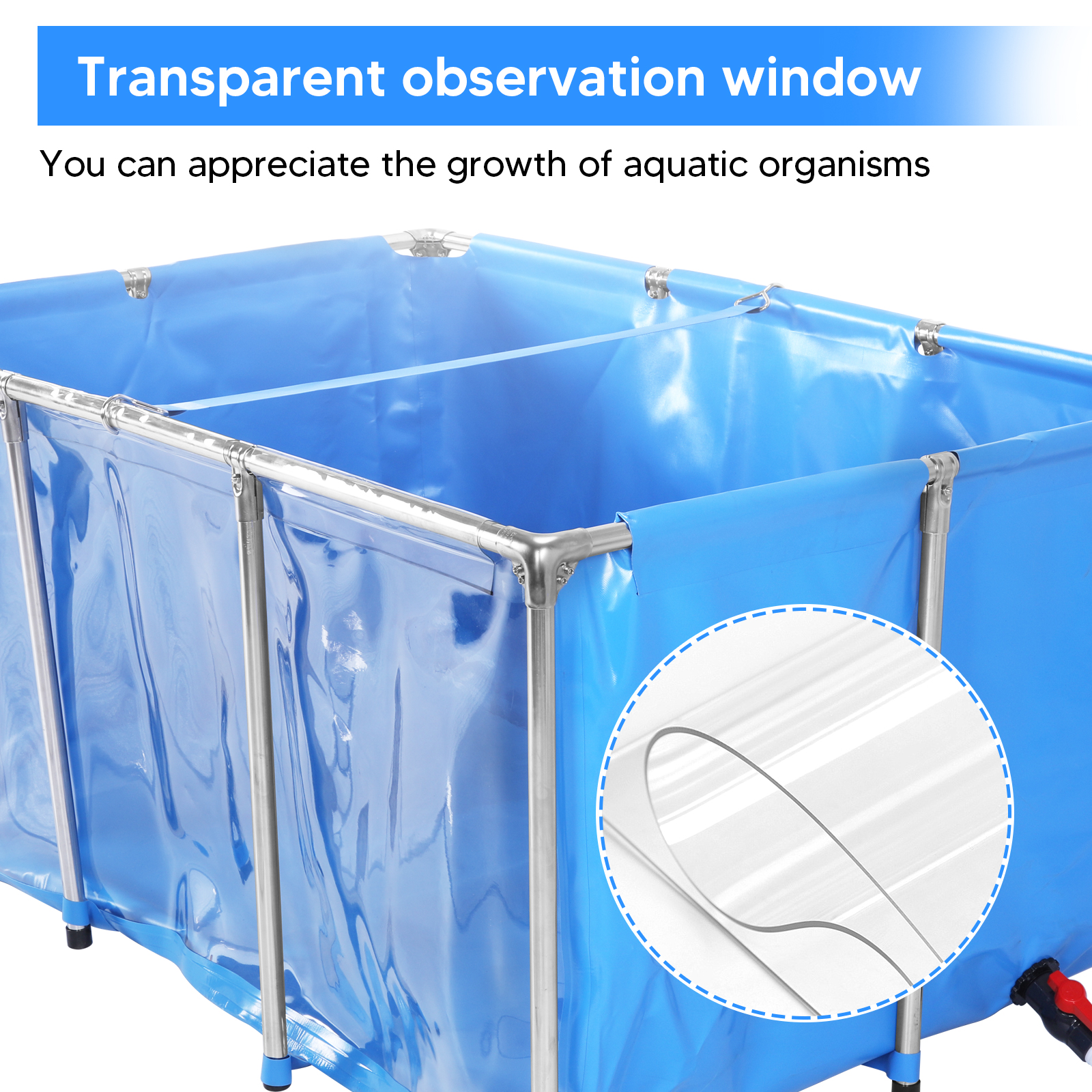 Aquarium Fish Tank Small Above - Aquarium Fish Koi review and price